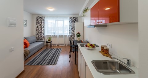 A kitchen with a sink, a couch, and a window.