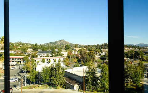 A view of a town from a window with buildings and trees.