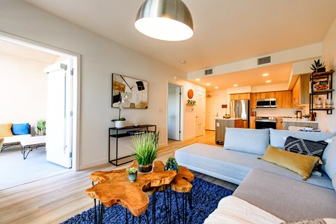 A modern living room with a blue rug and a wooden coffee table.