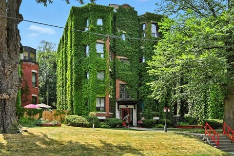 A building covered in green vines stands in front of a red building.