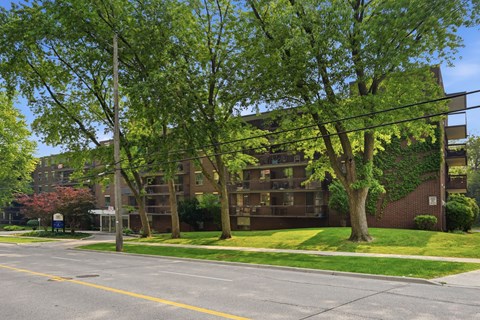 A tree with green leaves stands in front of a building.