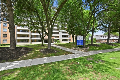 A tree-lined walkway leads to a building.