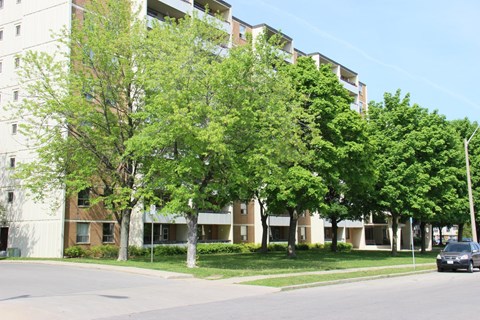 A tree in front of a building.