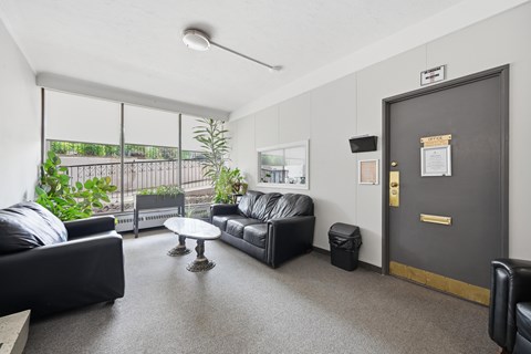 A black couch sits in a living room with a table and a plant.