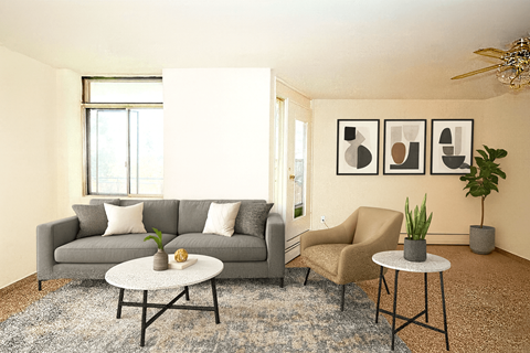 A living room with a grey couch, a chair, a table, and a plant.
