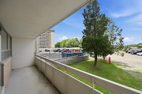 A balcony with a white railing and a tree in the distance.