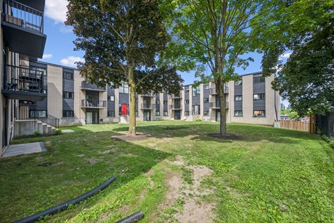 A grassy area in front of apartment buildings with a tree in the center.