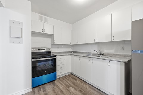 A modern kitchen with white cabinets and a blue stove top.
