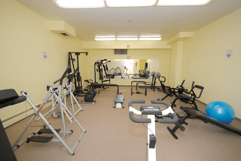 A gym with a variety of equipment including treadmills, weights, and exercise balls.