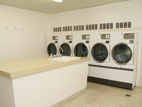 A laundromat with a row of washers and dryers.