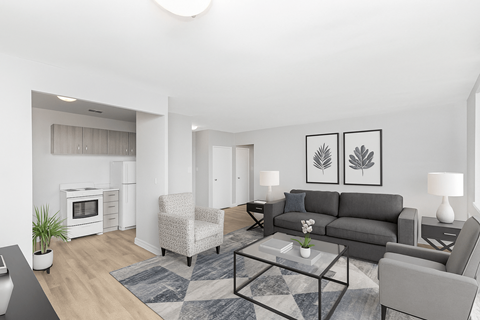 A modern living room with a grey couch, a coffee table, and a potted plant.