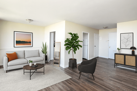 A living room with a white couch, a coffee table, a chair, and a potted plant.