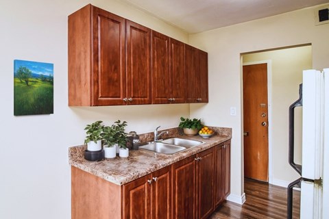 A kitchen with brown cabinets and a painting of a green field on the wall.