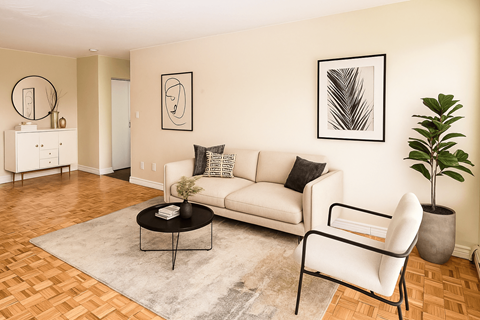 A living room with a white couch, a black coffee table, and a plant.