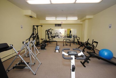 A gym with a variety of equipment including treadmills, weights, and exercise balls.