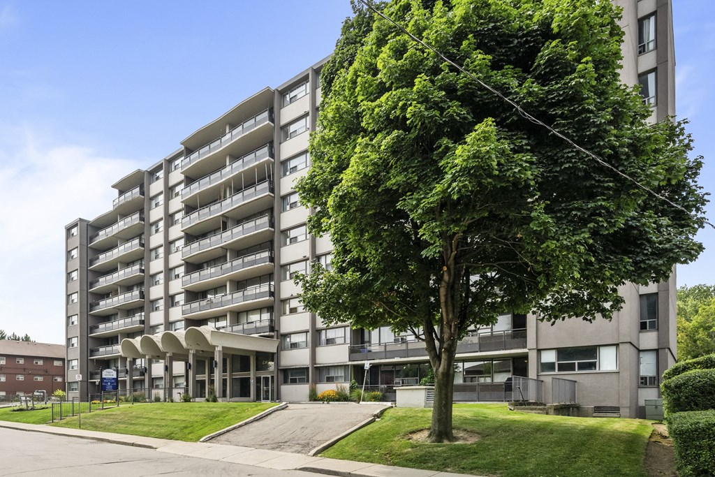 A large tree is in front of a grey apartment building.