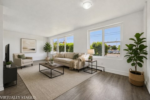 A living room with a couch, chair, and potted plant.
