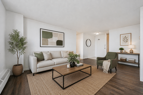 A living room with a white couch, a green chair, and a brown rug.