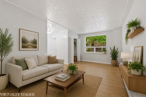A living room with a couch, a coffee table, and a potted plant.