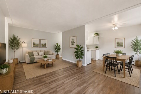 A living room with a couch, coffee table, and potted plants.