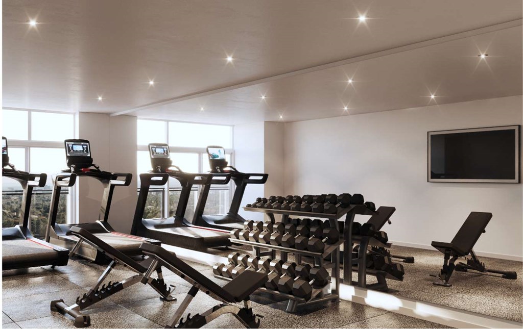 Gym at Ophelia on Queen, Ontario, N2G 0E7