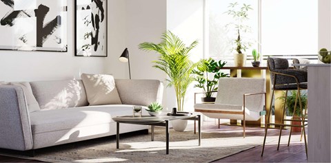 A living room with a white sofa, a coffee table, and a potted plant.