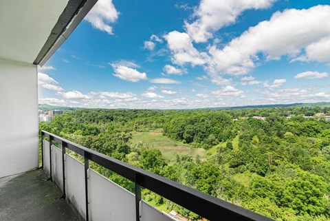 A balcony overlooks a lush green landscape.
