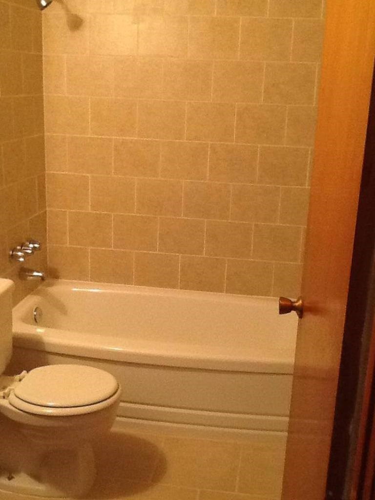 A white toilet sits next to a bathtub in a bathroom.