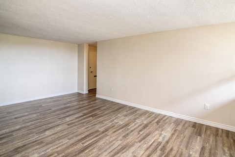 A room with wooden flooring and a door on the left side.