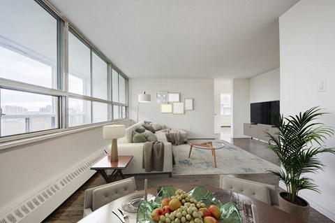 A living room with a couch, a coffee table, and a potted plant.