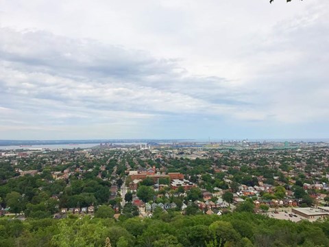 A cityscape with buildings and trees under a cloudy sky.