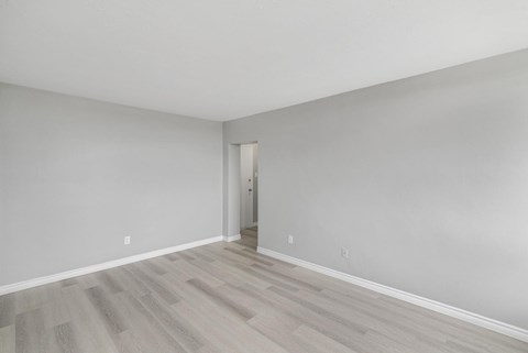 A room with a wooden floor and a white door.