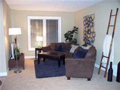 A living room with a brown couch and a blue rug.