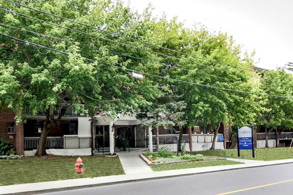 A tree-lined street with a fire hydrant and a sign on the sidewalk.