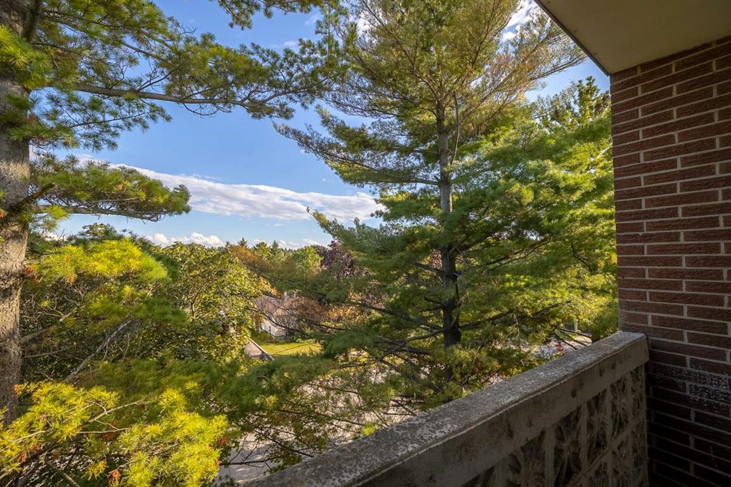 A balcony overlooks a forest with a mix of green and yellow trees.