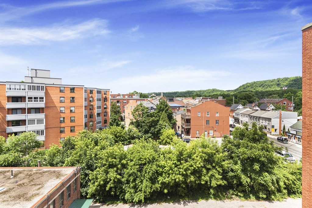 A view of a city from a high vantage point with buildings and trees.