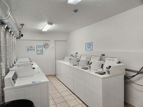 A row of sinks in a public restroom.