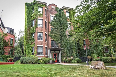 A building with a red door is covered in green vines.