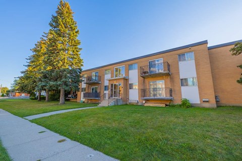 A building with a tree in front of it.