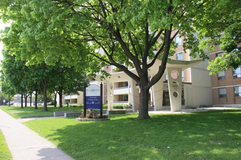 A tree stands in front of a building with a sign that says "Lafayette".