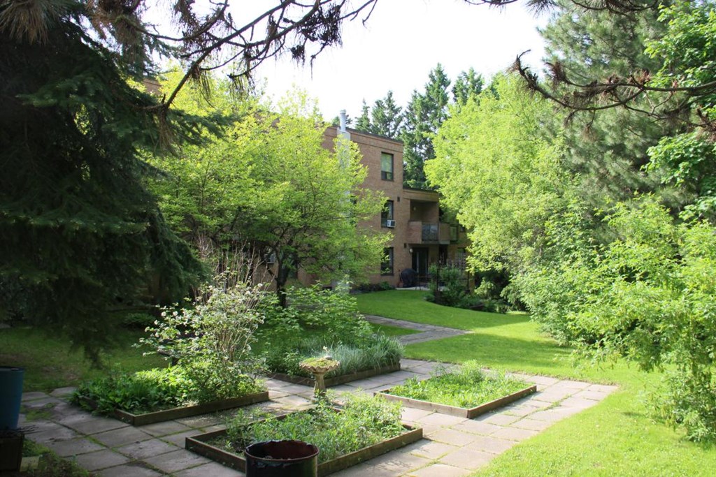 A garden with a house in the background.