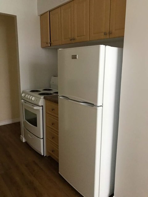 A white refrigerator and stove in a kitchen.