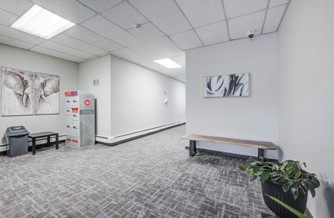 A room with a grey carpet and a bench.