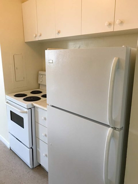 A white refrigerator and oven in a kitchen.