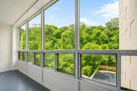 A room with large windows overlooking a green forest.
