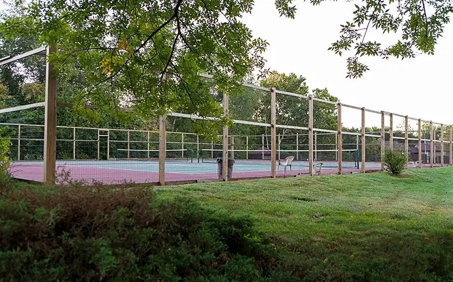 Tennis court surrounded by a fence and trees.