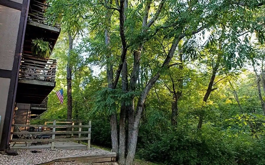 A tree in front of a building with an American flag hanging from a patio.