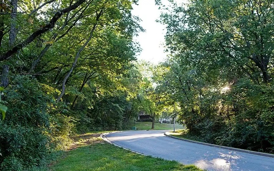 A tree-lined road curves to the right in the distance.
