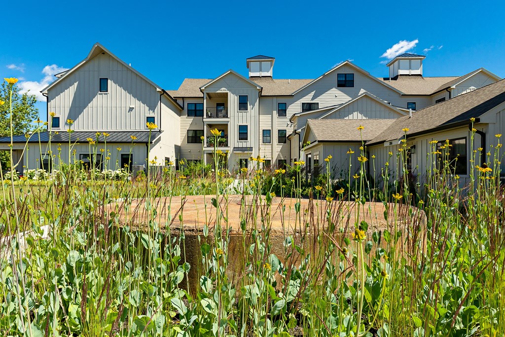 A wooden bench is in front of a building with a field of weeds in the foreground.