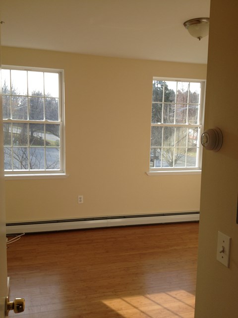 A room with a wooden floor and two windows.